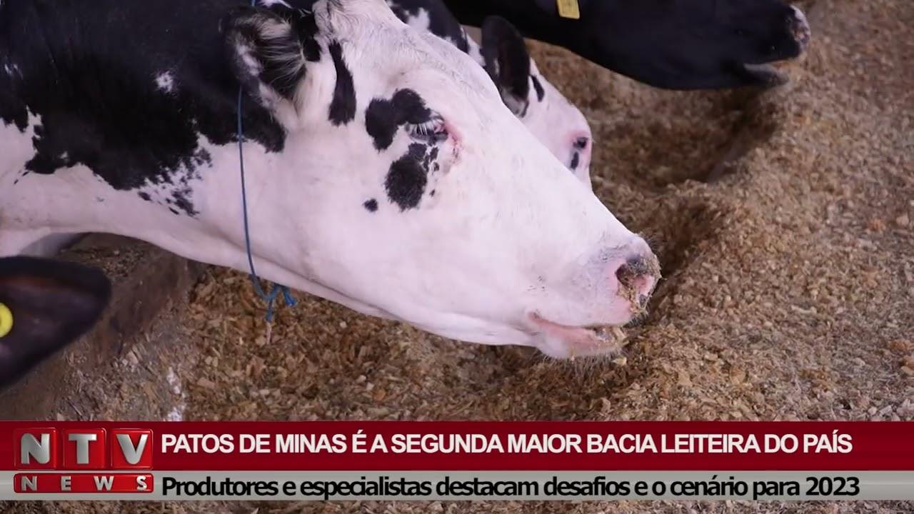 Leite!